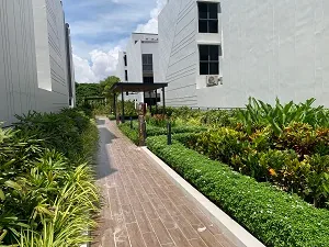 The Palms: project exterior — 8