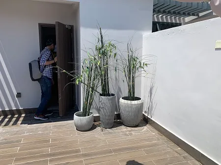 The Palms: project exterior — 44