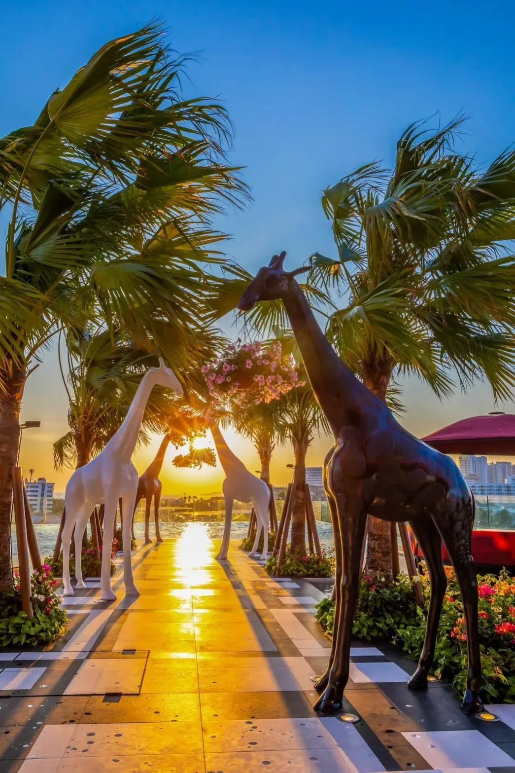 The Riviera Ocean Drive — 50